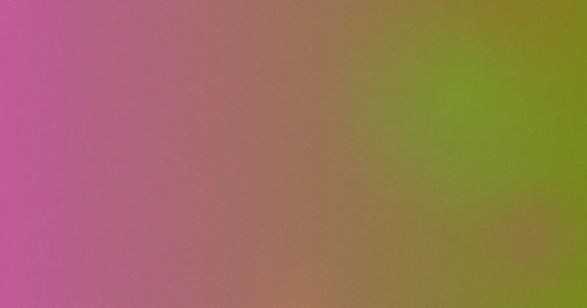 叼黑视频测评：避坑流程